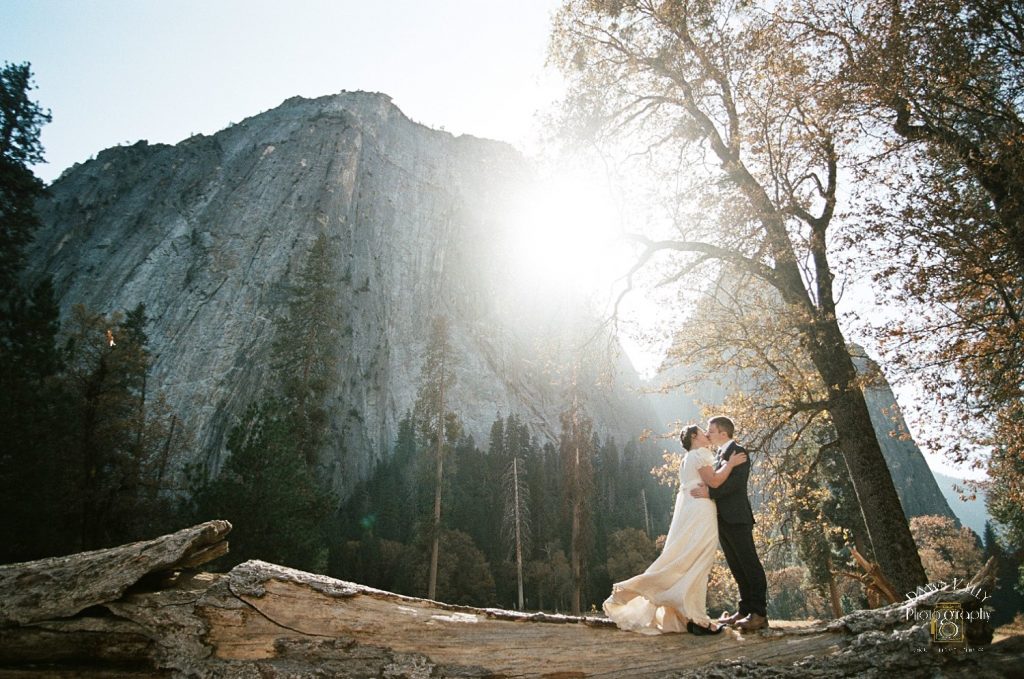 vintage wedding dress in Yosemite